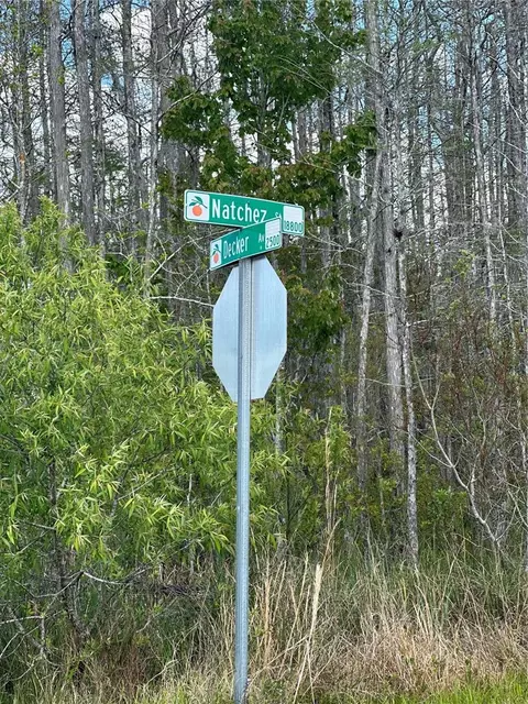 Natchez Street, Orlando, FL 32833