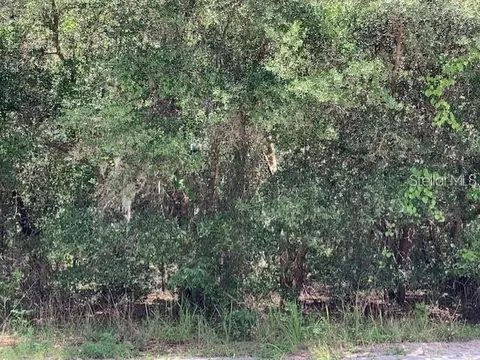 Cottage Hill Street, Lake Wales, FL 33859
