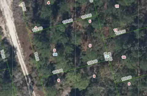 213 Imagination Dr, Lake Placid, FL 33852