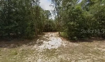 9944 N Wayland Ave, Citrus Springs, FL 34434