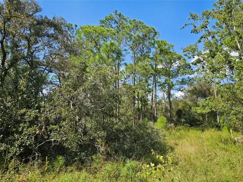 7105 Orchid Pl, Sebring, FL 33875 photo 2