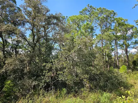 7105 Orchid Pl, Sebring, FL 33875
