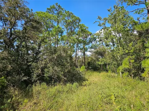 7105 Orchid Pl, Sebring, FL 33875 photo 8
