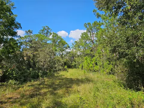 7105 Orchid Pl, Sebring, FL 33875 photo 3