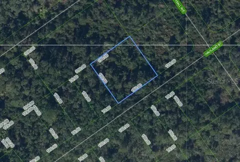 1210 Haviland St, Lake Placid, FL 33852