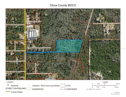 3932 N Hidden Oaks Way, Crystal River, FL 34428