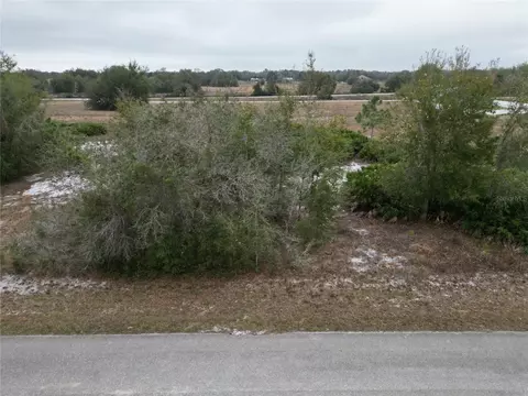 2807 W Newton Rd, Avon Park, FL 33825