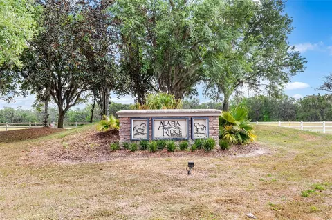117 Alafia Estates Ln, Plant City, FL 33567