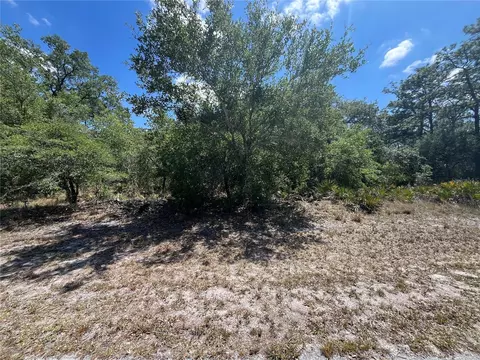 Oleander Drive, Indian Lake Estates, FL 33855