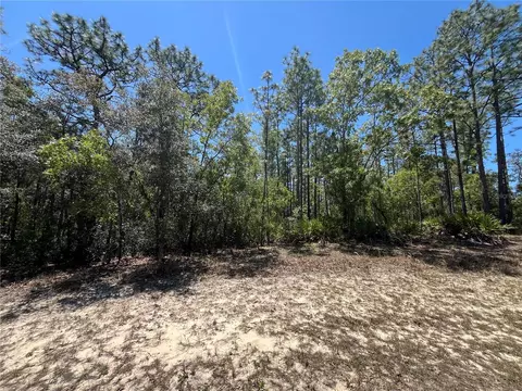 5354 N Tee Pee Dr, Beverly Hills, FL 34465
