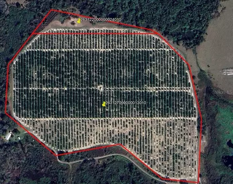 Buffum Church Road, Fort Meade, FL 33841