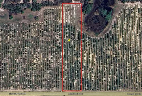 Mammoth Grove Road, Lake Wales, FL 33898