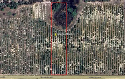 Mammoth Grove Road, Lake Wales, FL 33898