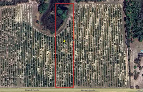 Mammoth Grove Road, Lake Wales, FL 33898