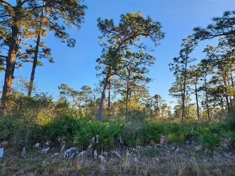 Camellia Drive, Indian Lake Estates, FL 33855