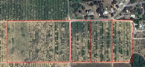 Goldenbough Road, Lake Wales, FL 33898