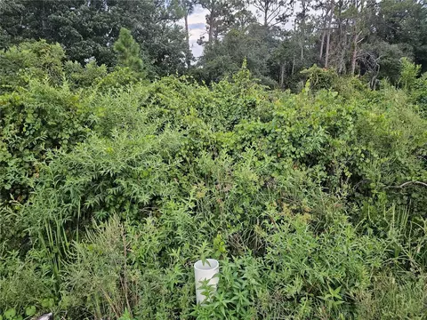 112 Draycott Ave, Lake Placid, FL 33852