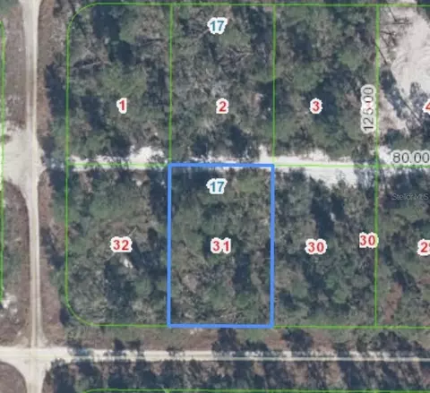 556 Parakeet Ave, Sebring, FL 33872