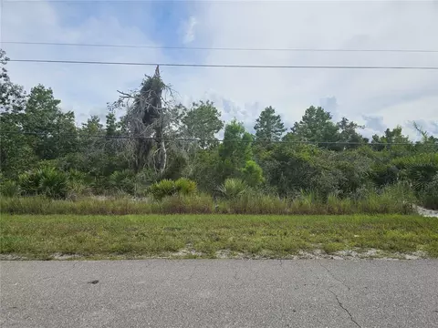 1009 Lotus St, Lake Placid, FL 33852