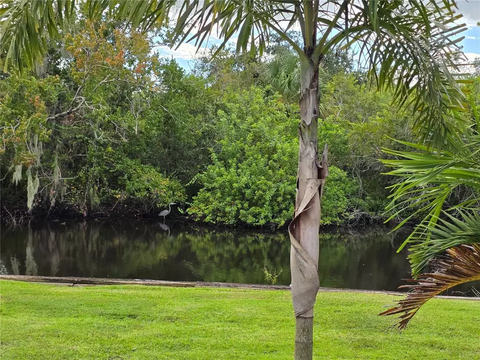  31 Appaloosa Trl W, Lake Wales, FL 33898 photo 9