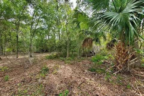 Holy Cow Road, Polk City, FL 33868