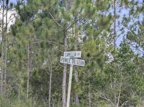 401 Camellia Dr, Indian Lake Estates, FL 33855