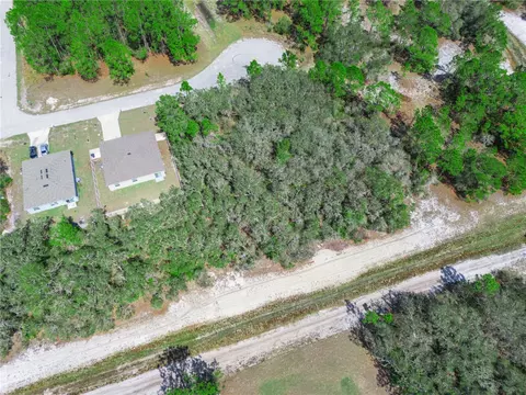 1246 Wahneta Dr, Kissimmee, FL 34759