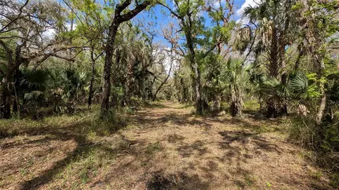Gillette Road, Zolfo Springs, FL 33890