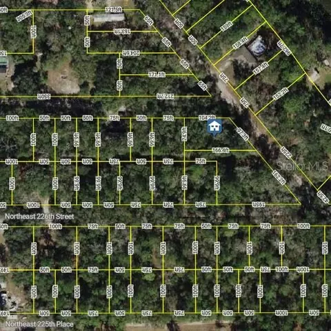 0 NE 227th St, Fort Mc Coy, FL 32134
