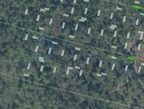 8705 Pavia St, Sebring, FL 33872