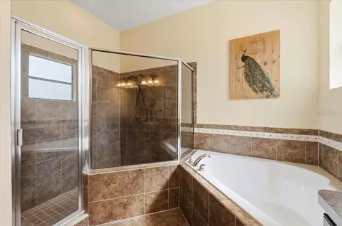 Bath - 1789 Kingsmill Dr, Bartow, FL 33830 photo 4 of 6
