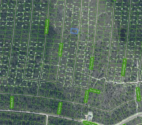 Undisclosed, Sebring, FL 33872 photo 2