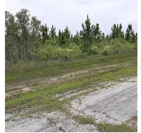 Calliandra Drive, Indian Lake Estates, FL 33855