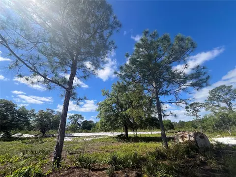 Fazzini Drive, Frostproof, FL 33843