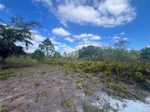 Fazzini Drive, Frostproof, FL 33843 photo 21