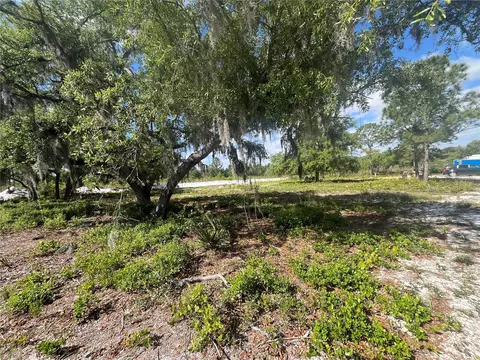 Fazzini Drive, Frostproof, FL 33843 photo 16
