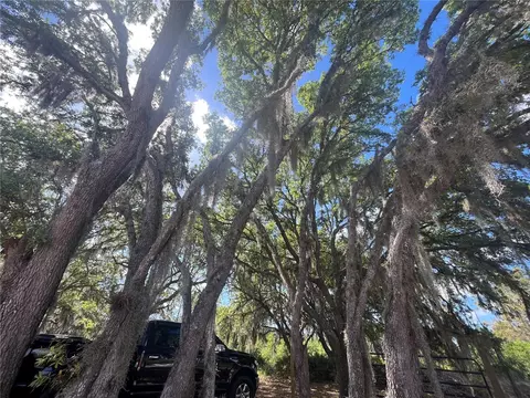 Fazzini Drive, Frostproof, FL 33843 photo 35