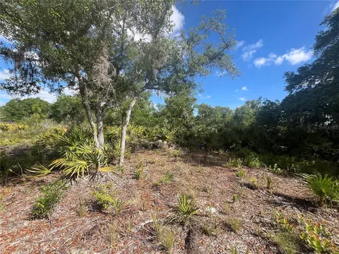 Fazzini Drive, Frostproof, FL 33843 photo 18