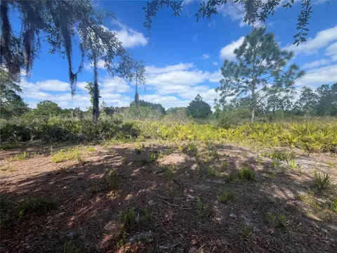 Fazzini Drive, Frostproof, FL 33843 photo 27