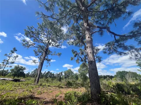 Fazzini Drive, Frostproof, FL 33843 photo 28