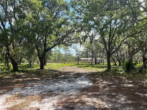 Fazzini Drive, Frostproof, FL 33843 photo 11