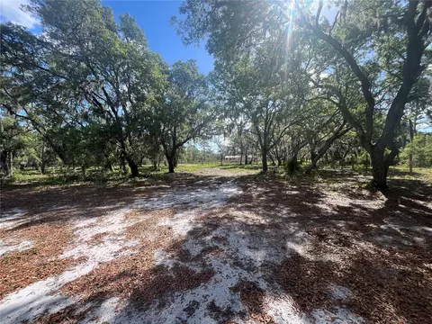 Fazzini Drive, Frostproof, FL 33843 photo 10