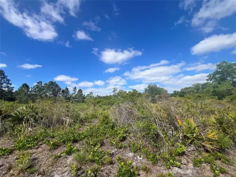 Fazzini Drive, Frostproof, FL 33843 photo 29