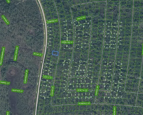 Undisclosed, Sebring, FL 33872 photo 2