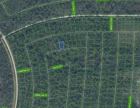 6342 Venetia Dr, Sebring, FL 33872 photo 2