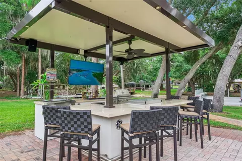 Other - 11516 Lyons Ct, Clermont, FL 34711 photo 20 of 21