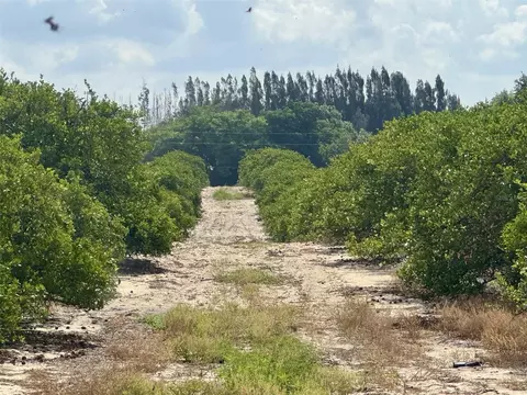 Crooked Lake Drive N, Babson Park, FL 33827