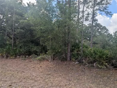 Allamanda Drive, Indian Lake Estates, FL 33855