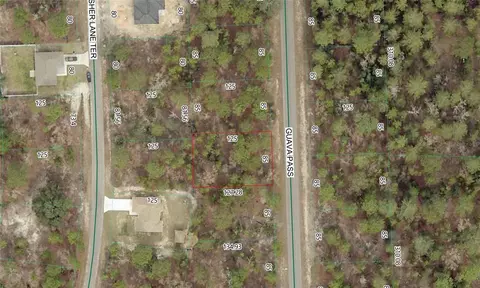 10 Guava Pass, Ocklawaha, FL 32179