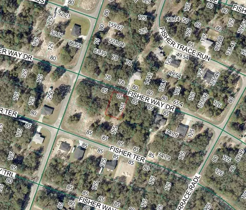 11 Fisher Way Drive, Ocklawaha, FL 32179